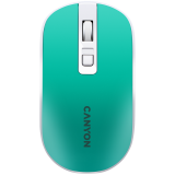  (CNS-CMSW18A)