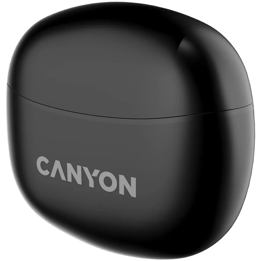 Наушники CANYON TWS-5 Black (CNS-TWS5B)