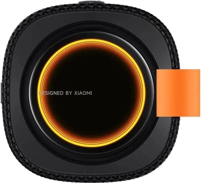 Портативная колонка Xiaomi Sound Play 18W, Black (MDZ-42-BS-BK)