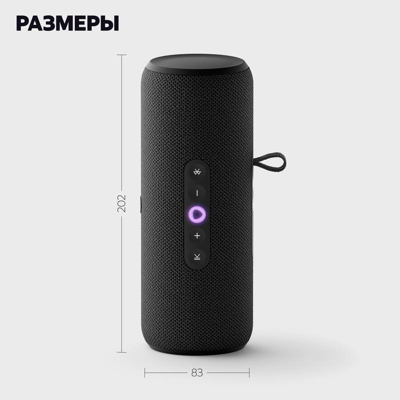 Колонка Яндекс.Станция Стрит c Алисой (2.0), Black, 30Вт Wi-Fi, BT (YNDX-00030BLK)