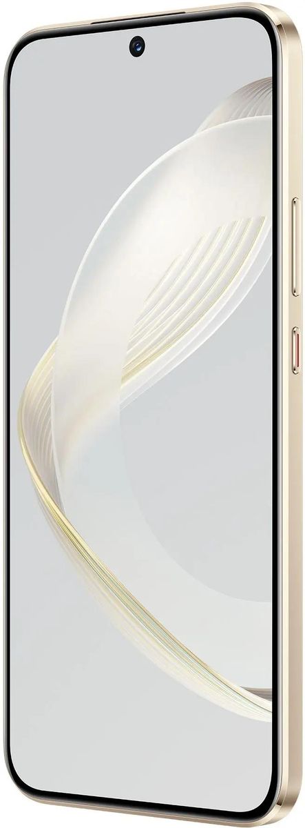 Смартфон Huawei Nova 11 FOA-LX9, 8/256GB, Gold (NOVA 11 FOA-LX9 GOLD 8/256GB)