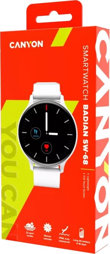 Смарт часы Canyon Badian SW-68 Silver (CNS-SW68SS)