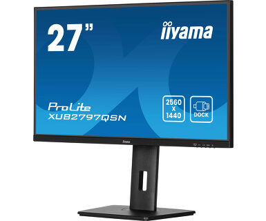Монитор iiyama ProLite XUB2797QSN-B2 27" (XUB2797QSN-B2)