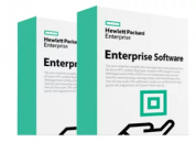 Лицензия программного обеспечения HP Enterprise 24x7 Support FIO (P8B31A)