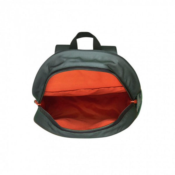 Рюкзак Delsey School 2018, Khaki (00339362203)