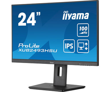 Монитор iiyama ProLite PL2493HS 23.8" (XUB2493HSU-B7 A)
