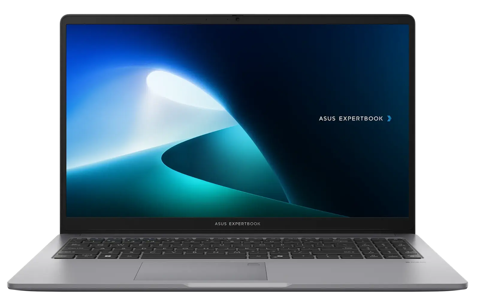 Ноутбук Asus ExpertBook P1 14 (90NX0871-M00Z10)