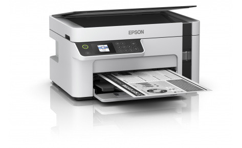 МФУ Epson M2110 (CIS) (C11CJ19401)