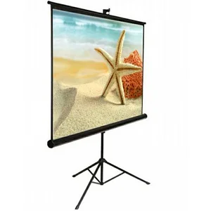 Экран на треноге Mr.Pixel ECO 96" X 96" (MAGNASDB135V2)