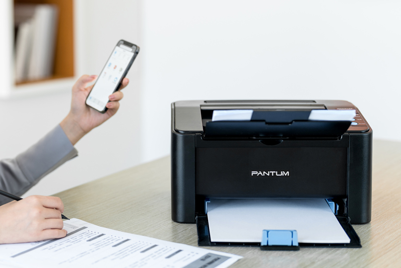 Принтер лазерный Pantum P2507 (P2507)