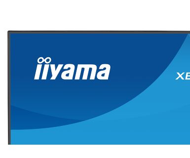 Монитор iiyama ProLite XB2497HSU-B1 24" (XB2497HSU-B1)