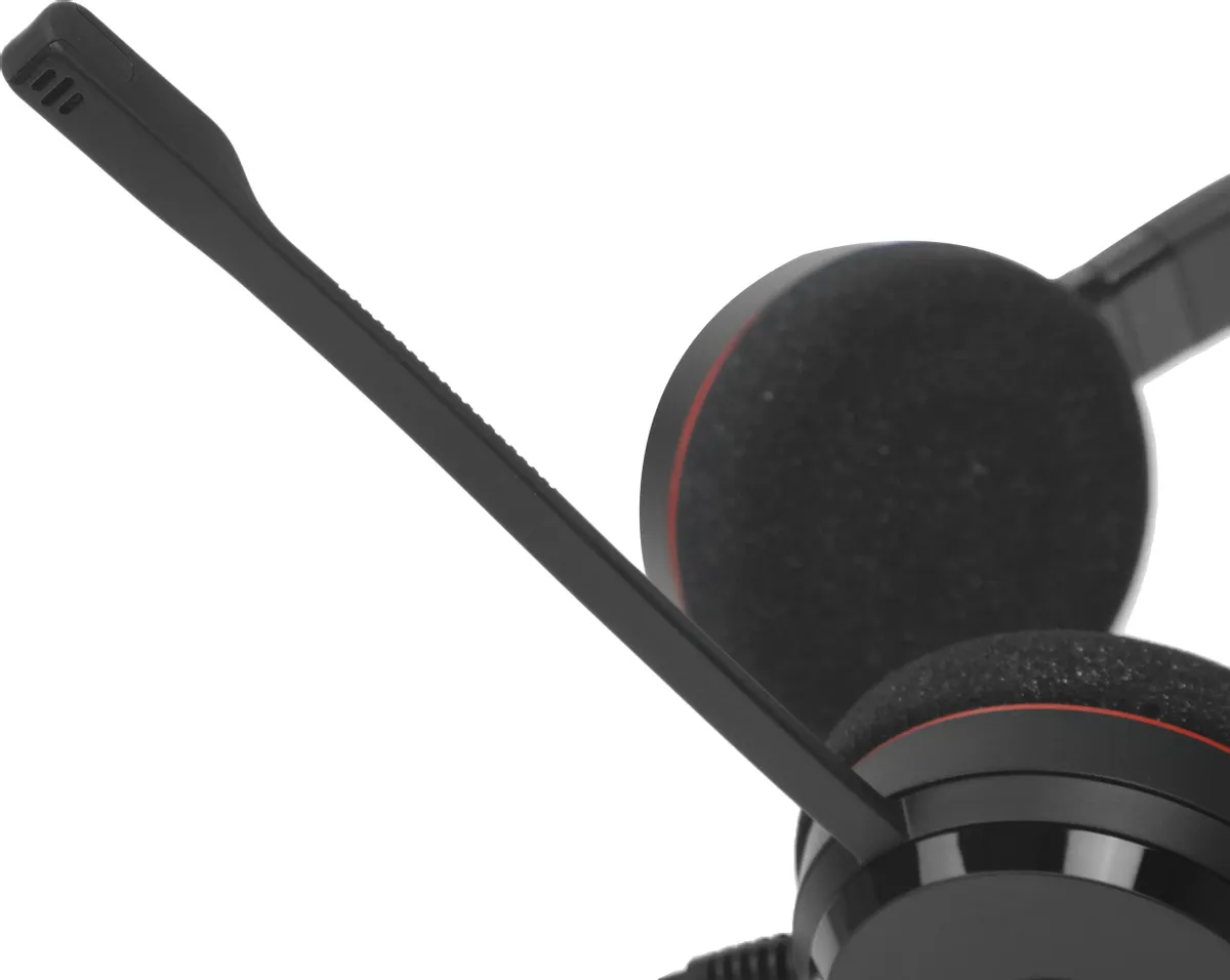 Гарнитура Jabra EVOLVE 20 Stereo MS USB C/A adapter (4999-823-169)