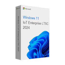Операционная система Windows 11 IoT Enterprise LTSC 2024 (DG7GMGF0PP49-0001)