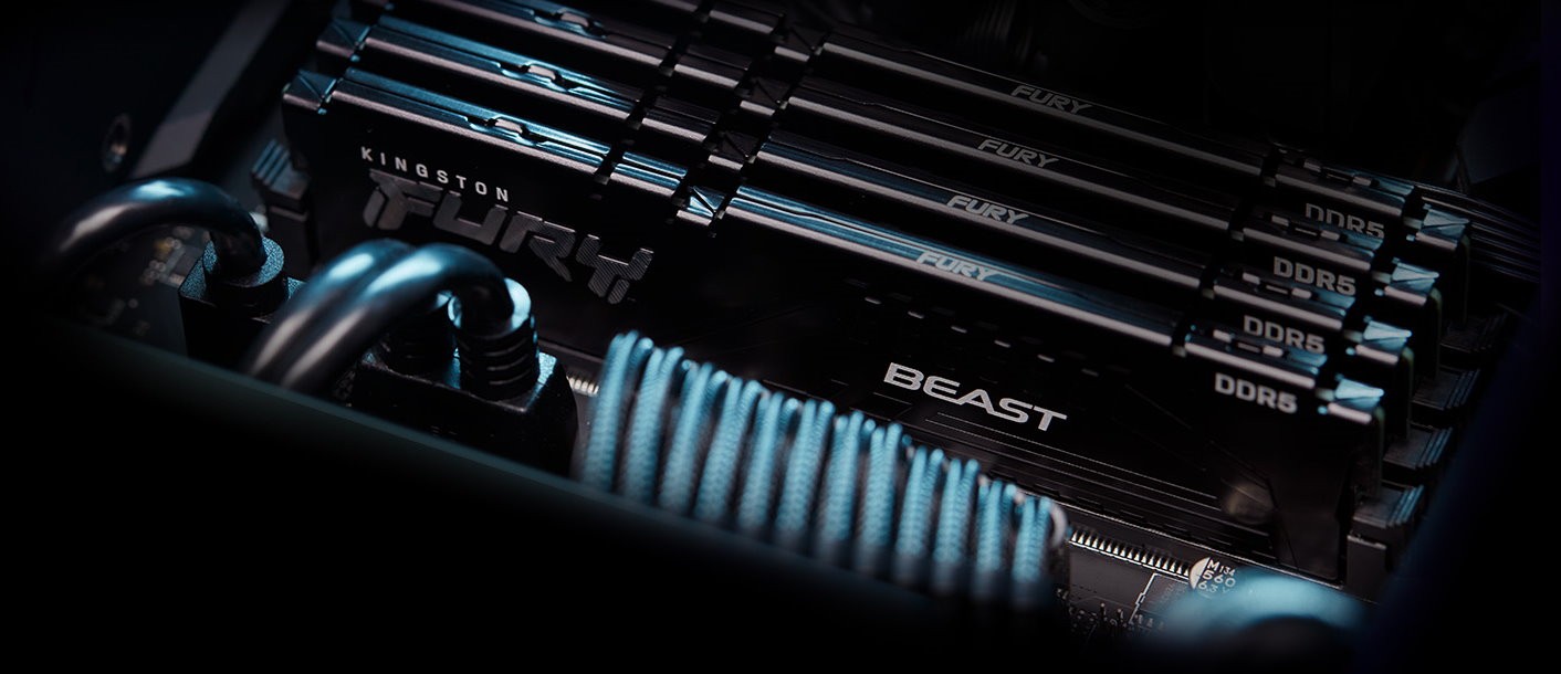 Оперативная память Kingston FURY Beast Black EXPO DIMM DDR5 16GB 6000MT/s (KF560C30BBE-16)