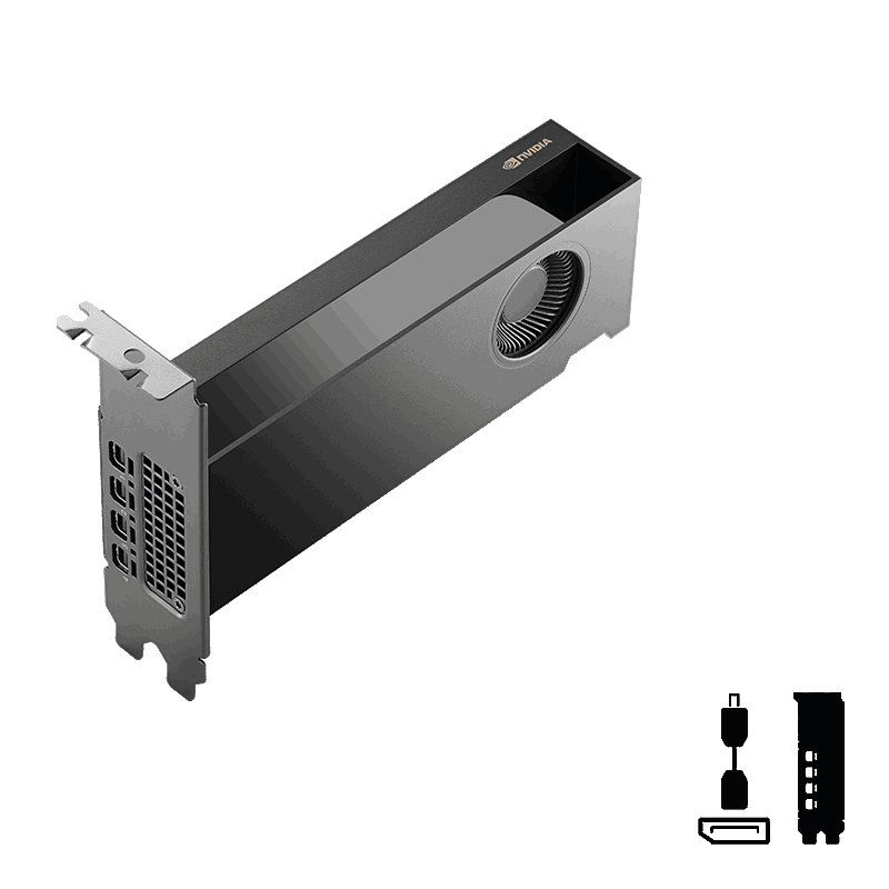 Видеокарта PNY NVIDIA RTX PRO 2000 Blackwell - OEM Version (VCNRTXPRO2000-SB)