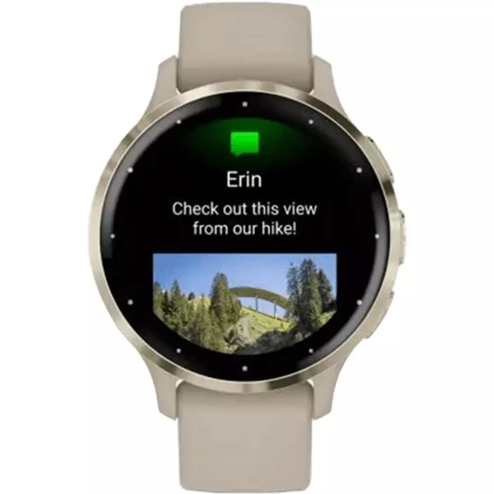 Смарт часы Garmin Venu 3S, серый (010-02785-02)