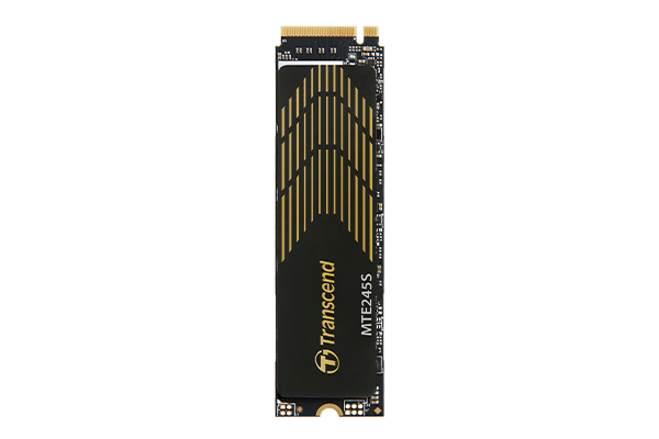 Твердотельный накопитель 250GB Transcend (TS250GMTE245S)