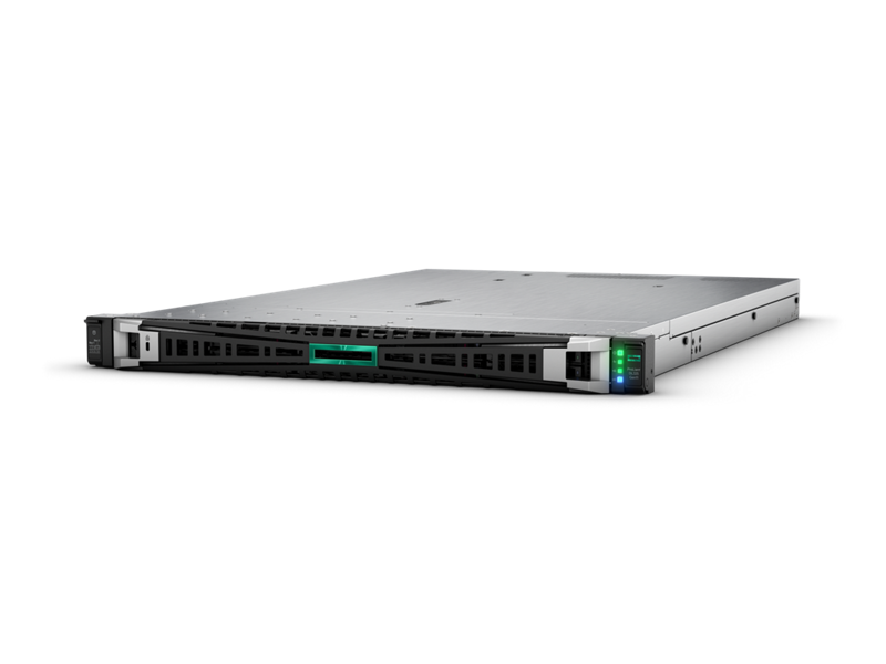  Сервер HP Enterprise ProLiant DL325 Gen11 (P81836-425)