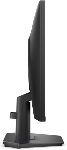 Монитор Dell SE2425HG 23.8", Black (210-BSNR)