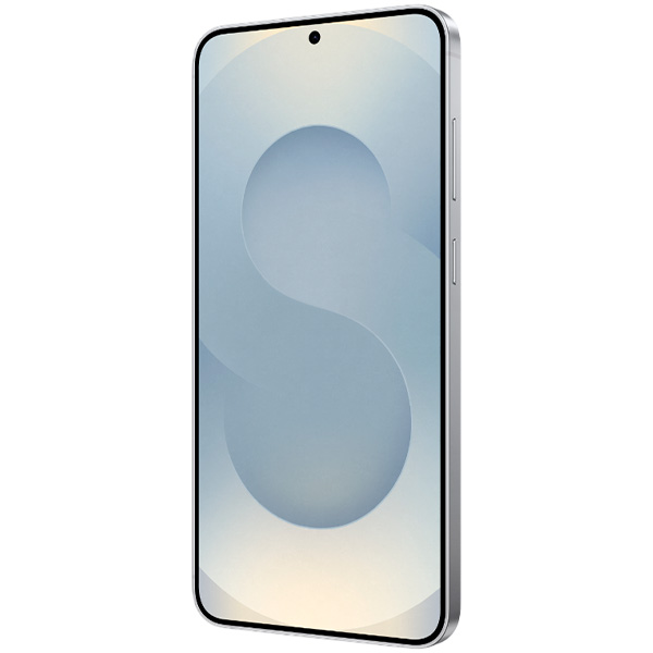 Смартфон Samsung Galaxy S25 5G 256GB silver shadow (SM-S931BZSCSKZ)