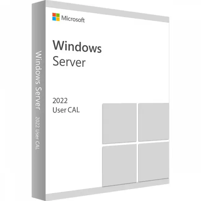 Операционная система Windows Server CAL 2022 Russian 1pk DSP OEI 1 Clt User CAL (R18-06457)