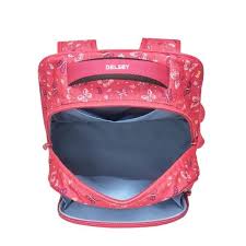 Рюкзак Delsey School 2018, Pink (00339362209)