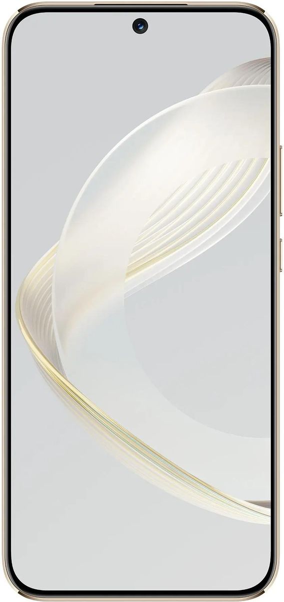 Смартфон Huawei Nova 11 FOA-LX9, 8/256GB, Gold (NOVA 11 FOA-LX9 GOLD 8/256GB)