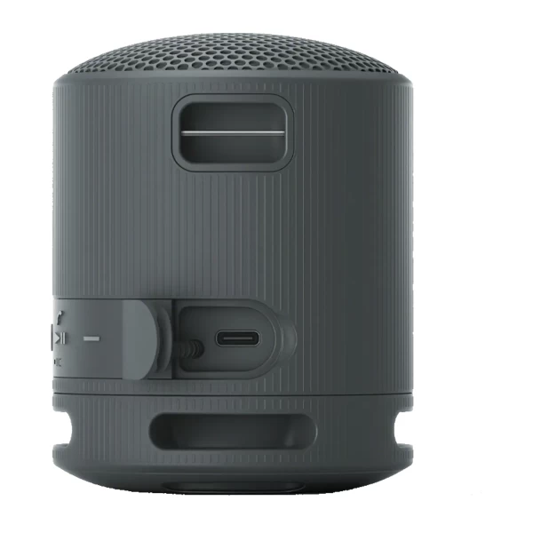 Портативная колонка Sony SRS-XB100 (SRS-XB100/BCE)