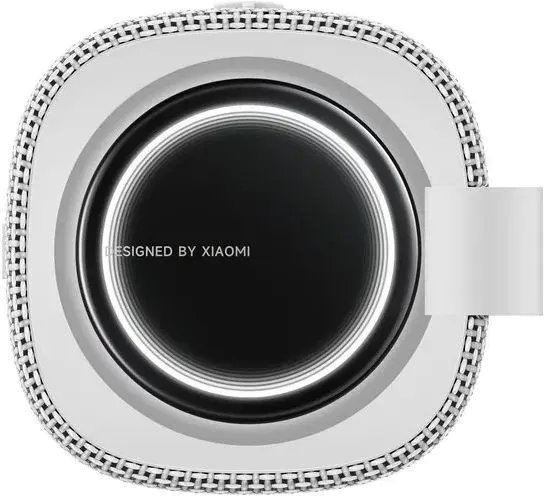 Портативная колонка Xiaomi Sound Play 18W, White (MDZ-42-BS-WH)
