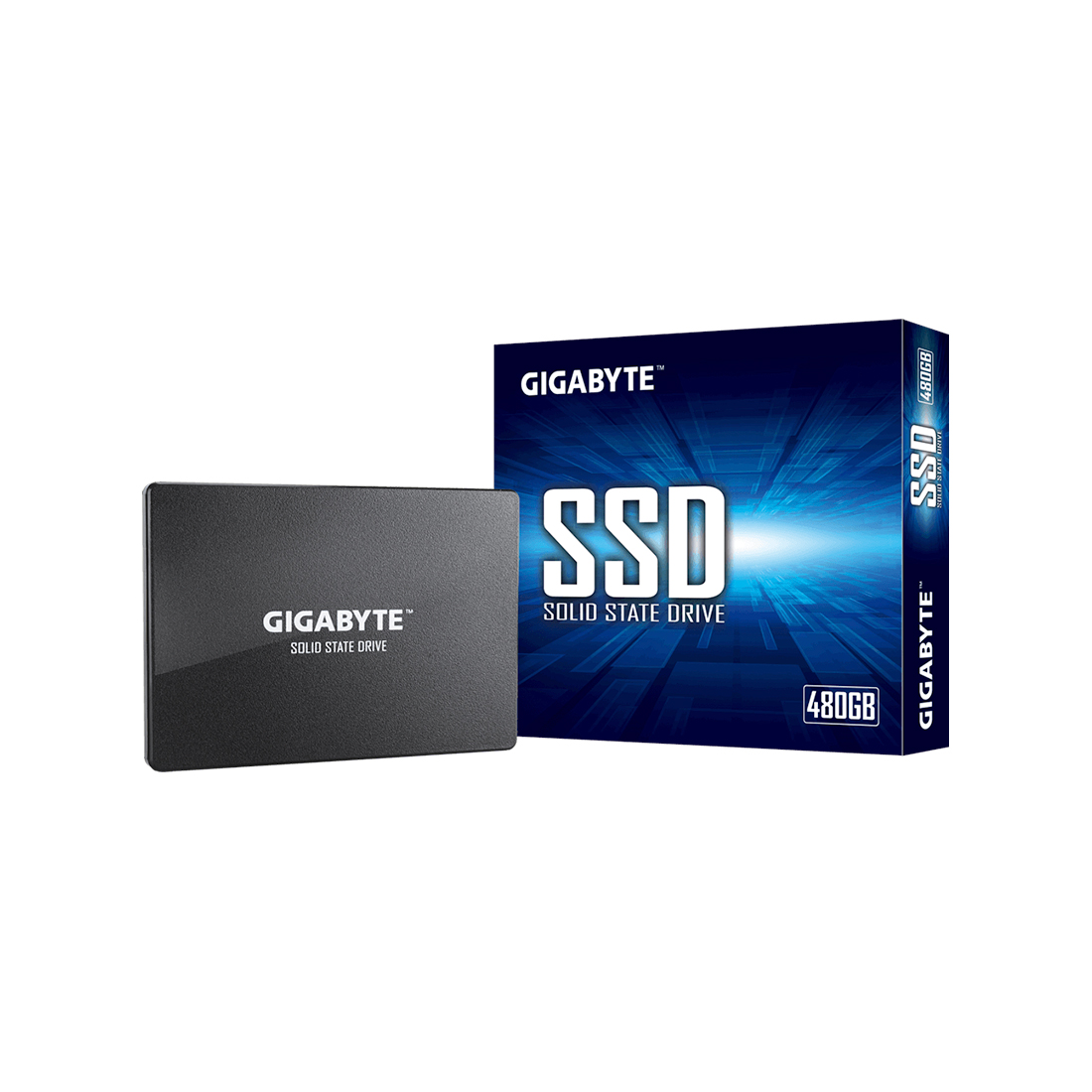 Твердотельный накопитель внутренний Gigabyte GSTFS31480GNTD (GP-GSTFS31480GNTD)