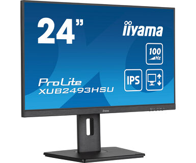 Монитор iiyama ProLite PL2493HS 23.8" (XUB2493HSU-B7 A)