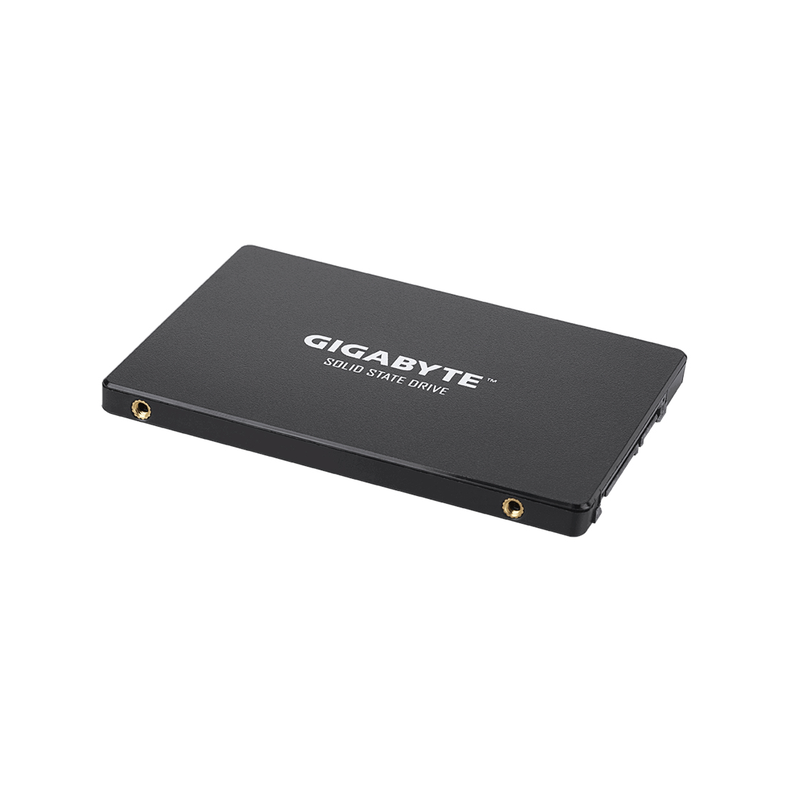 Твердотельный накопитель внутренний Gigabyte GSTFS31480GNTD (GP-GSTFS31480GNTD)