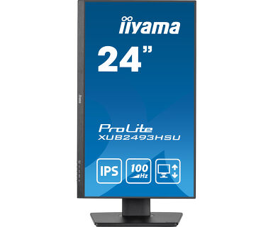 Монитор iiyama ProLite PL2493HS 23.8" (XUB2493HSU-B7 A)