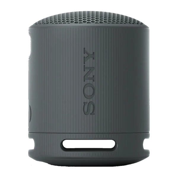 Портативная колонка Sony SRS-XB100 (SRS-XB100/BCE)
