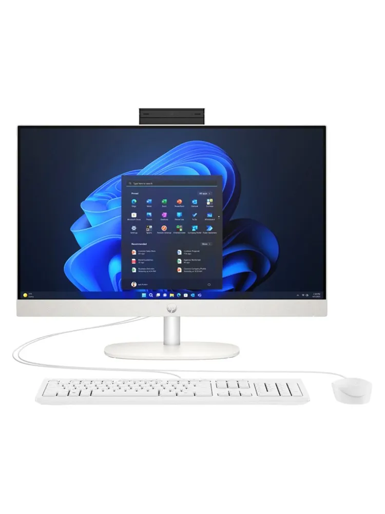 Моноблок HP ProOne All-in-One 240 G10, 23.8" (A1JM5ES)