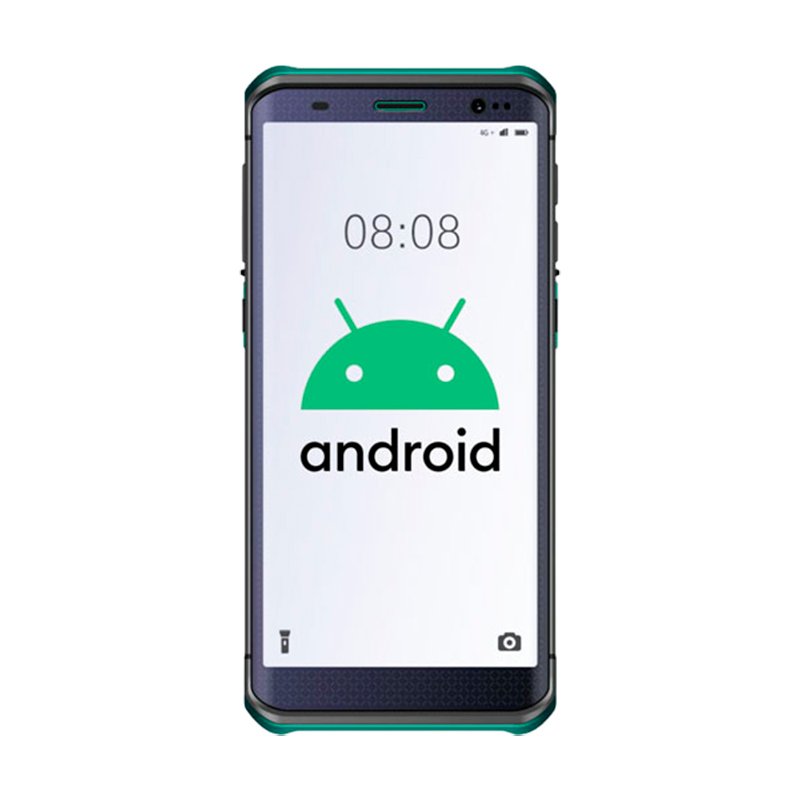 Терминал сбора данных D60 2D (D60G46455160CN)