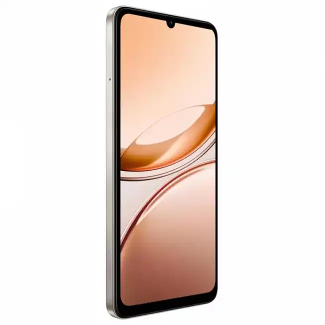 Смартфон Vivo Y04 (4+64GB) Gold (5669163)