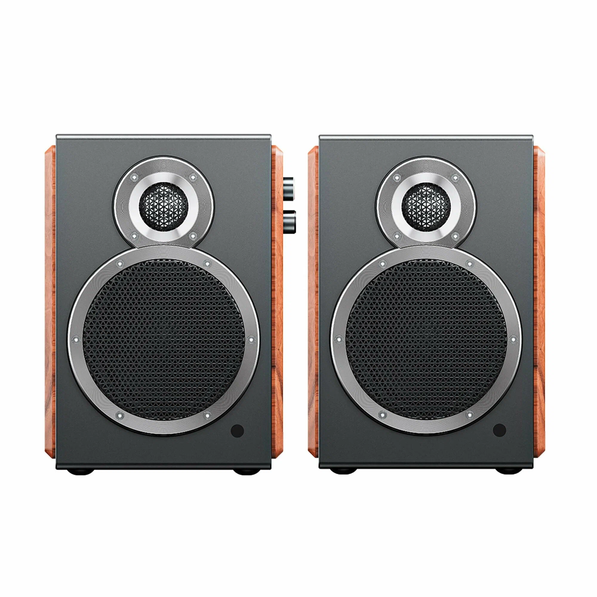 Колонки FiiO SA1 F3053S (2.0), Black (F3053S)