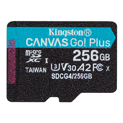 Карта памяти MicroSD, Kingston Canvas Go! 256GB Class 10 (SDCG4/256GB)