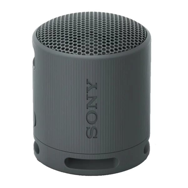 Портативная колонка Sony SRS-XB100 (SRS-XB100/BCE)