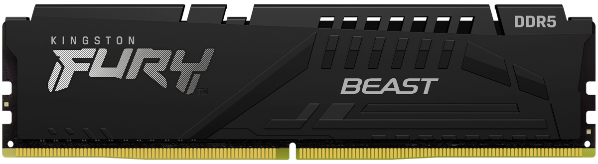 Оперативная память Kingston Fury Beast KF552C40BB-16 DDR5 DIMM 16Gb 5200 MHz CL40 (8473302008) (KF552C40BB-16)