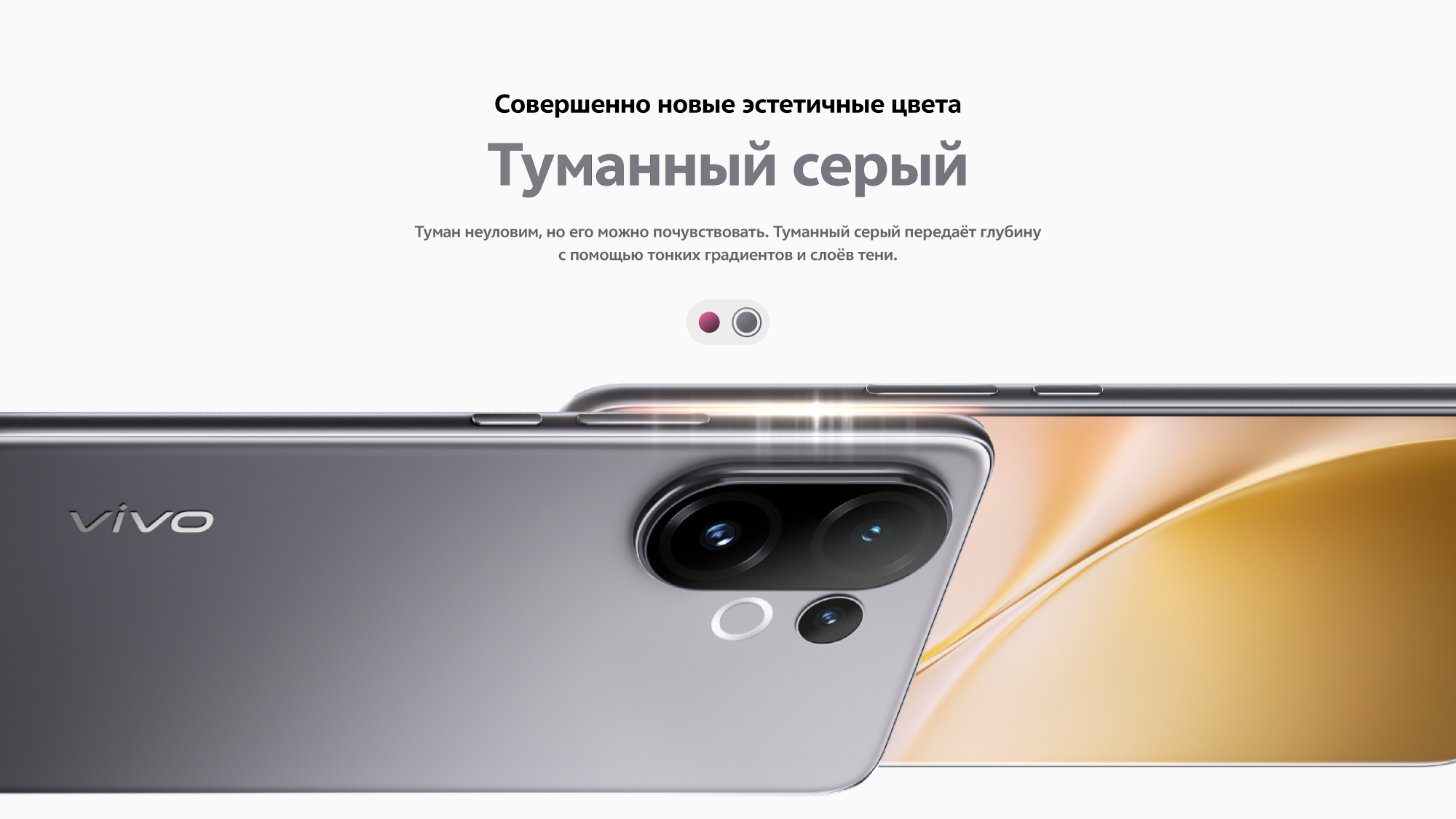 Смартфон Vivo V60 (12+512GB) Gray (5671667)