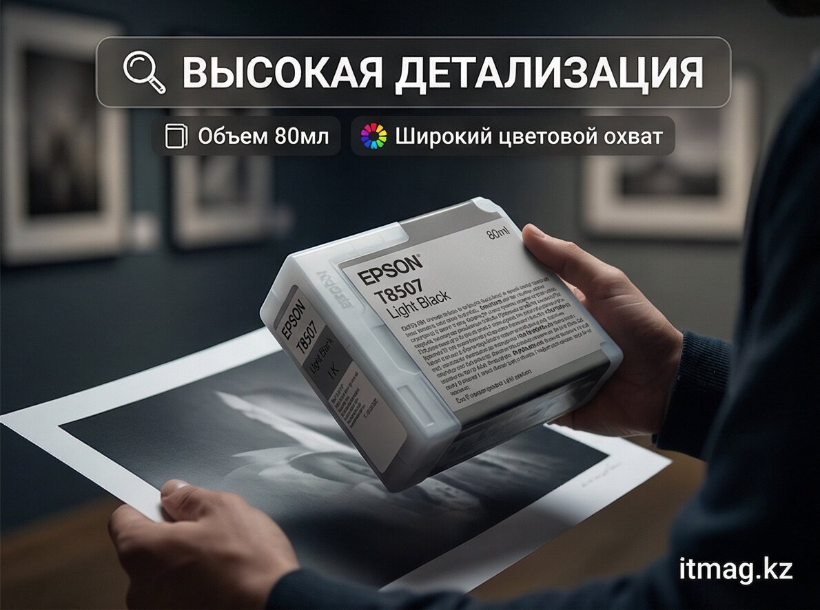 Картридж струйный Epson Light Black T850700 UltraChrome HD 80ml (C13T850700)