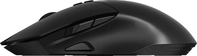 Компьютерная мышь Rapoo V30L (12789)