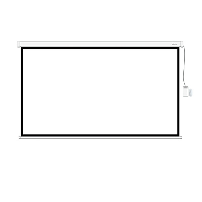 Экран моторизированный (с пультом Д/У) Deluxe DLS-ERC300x180W (118"х70"), Ø - 137", 16:9 (DLS-ERC300x180W)