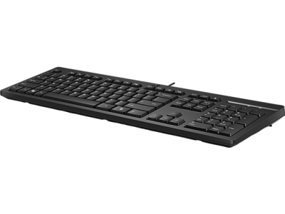Клавиатура HP 125 USB   (266C9A6)