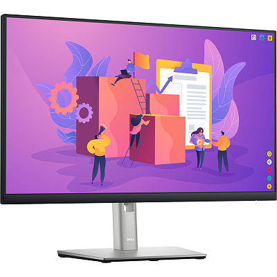 Монитор Dell P2423DE (210-BDDW)