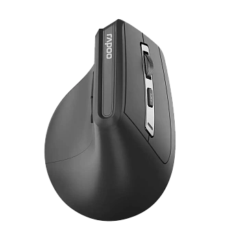 Компьютерная мышь Rapoo EV310M (EV310M)