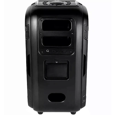 Колонка ttec Carnival Pro 120W (2BH11S)