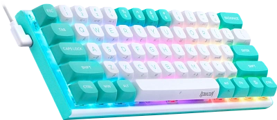Клавиатура Redragon Fidd turquoise/white (72187)